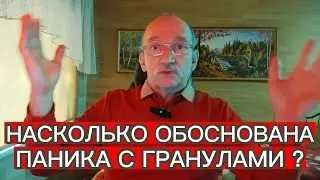 НАСКОЛЬКО ОБОСНОВАНА ПАНИКА С ГРАНУЛАМИ ?