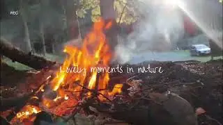 Taking energy from nature 🌳🏕️
