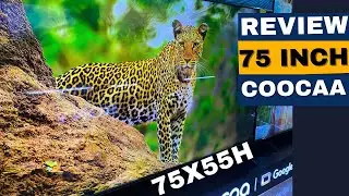 UPDATE 75 INCH TERBARU MINI LED COOCAA 75X66H