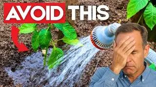 AVOID These Watering Mistakes KILLING your Plants