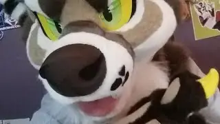 Ragtime Fursuit Unboxing | Autumnfallings