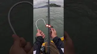 Amazing Chinese Fishing Gadget | Smart Way to Catch Big Fish #shorts