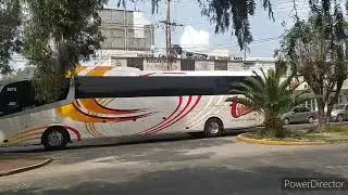 Entradas y salidas de la terminal terrestre potosina #11