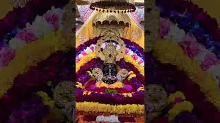 18 janbari ko moniamabasiya ki hardik subkamnaye app sbhi ko #nihaljuicecornersohna #jaishreeshyam