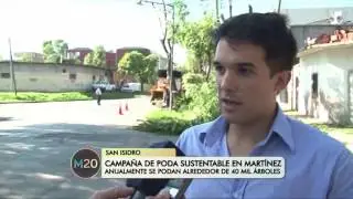 Campa&ntilde;a de poda sustentable en Mart&iacute;nez - San Isidro
