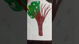 autumn,autumn leaves,autumn trees,differences between spring wood and autumn wood