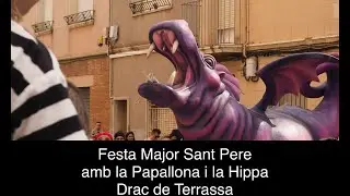 Festa Major de Sant Pere - Drac de Terrassa