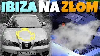 KONIEC SILNIKA W SEACIE | MAMY NOWEGO PIESKA
