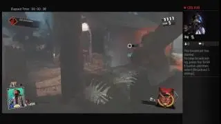 Iw dlc 1