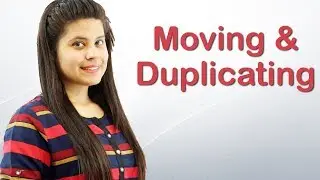 Moving and Duplicating Objects in Adobe Illustrator - Free Tutorial Chapter 6 Video 3