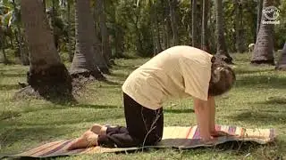 Yoga for Musculoskeletal Disorder| Vyagraha Pranayama | Improve Joint & Skeletal Structure with Yoga