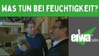 Feuchtes Mauerwerk und nasse W&auml;nde, die folge Salpeter und Salze was ist zu tun?
