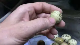 1 февраля 2026 г.