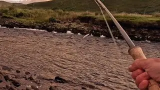 Day of Grilse - Fly Fishing Ireland