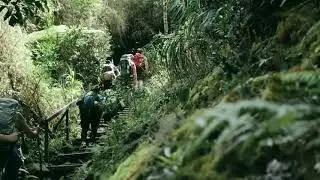 Relax nanba with nature...... view