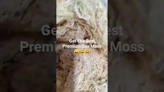 Best Quality Sea Moss, Get It Today 😲😳😁🤑#seamossgel #seamoss