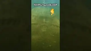 real BLOOP ! NIKPIG found the Bloop!