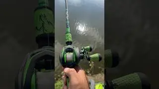 Lew&rsquo;s Mach 2: No Thumb Required for teaching Kids shorts #fishing #lewsfishing