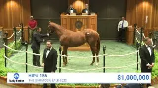 Gun Runner colt o/o Flag Day sells for $1,400,000 at The Saratoga Sale (2022)