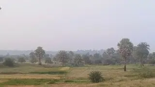 Nature&rsquo;s Live Stream Is Better Than TV