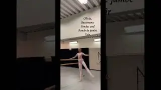 Application summer school, 2026