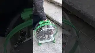 🐾 No more worries about taking your kitty out! 🐱