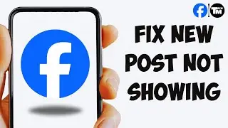 Как исправить ошибку &laquo;Новая публикация не отображается на Facebook&raquo; | Публикация на Facebook не о...