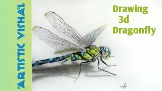 How to draw 3d drawing | Drawing Dragonfly | Hyperrealistic Drawing
