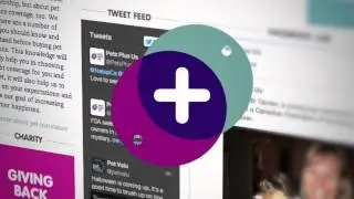 За счастье владельцев домашних животных | Pets Plus Us