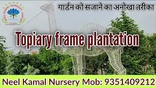 Plantation in Topiary frame || Animal Topiary frame plantation || Neel Kamal Nursery Mob: 9351409212