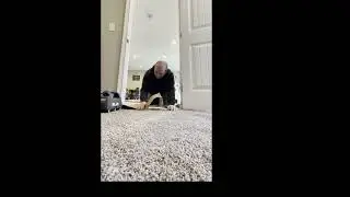 Compass Carpet Repair - Carpet Re-installation Basement Flood Repair