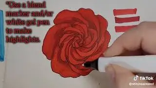 DWBS - 3 CIRCLE ROSE