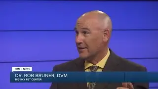 Dr. Rob discusses pet heart health on Montana This Morning