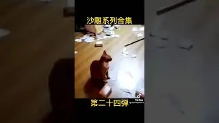STREET RAT NOT AFRAID OF CAT 😸😂😂😂😂😂😂