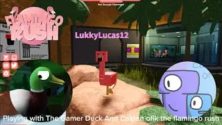 We are @FlamingoFromFlamingoRush and @Caidenofik234 playing the flamingo rush