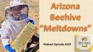 Beekeeping In The Southern Arizona Heat & Honey Bee Rehab