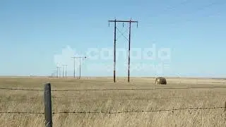Wooden electrical poles in the Canadian prairies stock video. Alberta, Canada. HD Royalty Free.