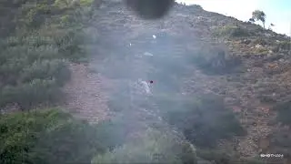 Κυνήγι Ταχλας 2023 Shotkam Gen 4 (Turdus hunting)