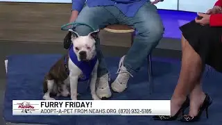 Furry Friday: Butch