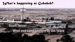 2 minute Gobabeb. Wind and hummock building in the !nara