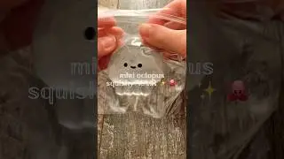octopus squishy ASMR 🫠