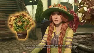 What Happens If I Don't Plant Dittany Seeds - Hogwarts Legacy