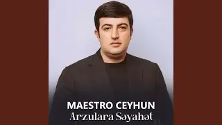 Arzulara Səyahət