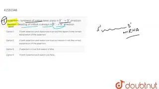 Assertion : Synthesis of mRNA takes place in `5\' rarr 3\'` direction Reason : Reading of mRNA is