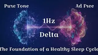 1Hz Delta Waves: The Foundation of a Healthy Sleep Cycle - Achieve Total Mind & Body Restoration