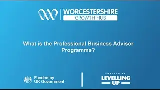 What is the Professional Business Advisor Programme?