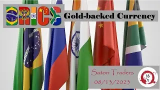 Robert Moriarty 321gold on BRICS Gold backed Currency - Satori Traders