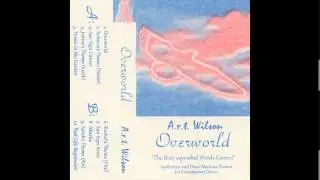 Andras Fox - Overworld