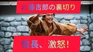 🔥😱【衝撃回】藤吉郎が弟を“生贄”に!? 信長激怒で小一郎が殴られる…『豊臣兄弟！』第3話にSNS大炎上😱🔥