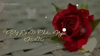 Rose Day Whatsapp status | love story status video | Romantic couple status | #lovesong
